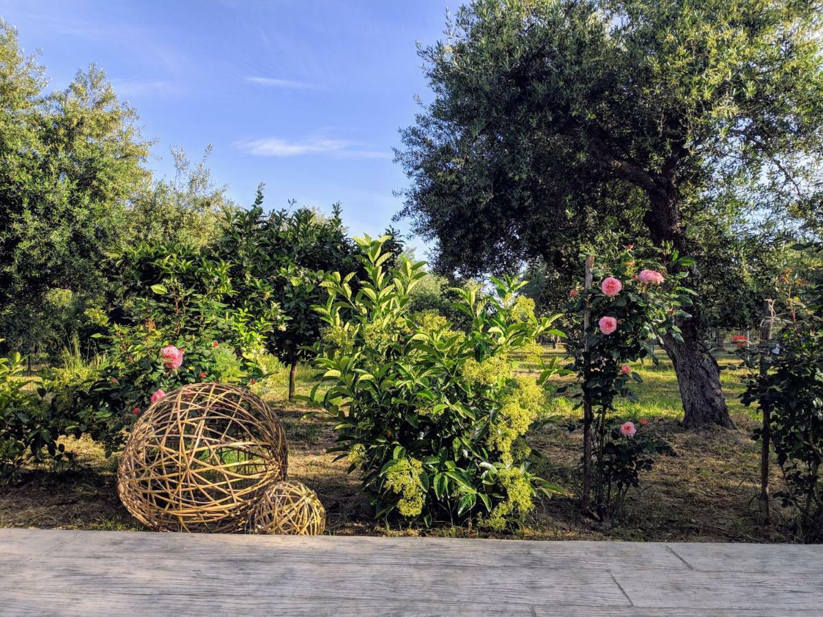 VasilikíCasa Di Porto Romaアパートメント エクステリア 写真